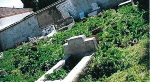 Lee más sobre el artículo Desde febrero de 2023, la comunidad musulmana de Madrid se enfrenta a un grave problema: no tiene un lugar donde enterrar a sus muertos conforme a sus creencias religiosas.