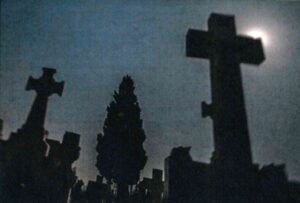 Lee más sobre el artículo los musulmanes satisfechos por que podran enterrar a sus muertos segun sus ritos