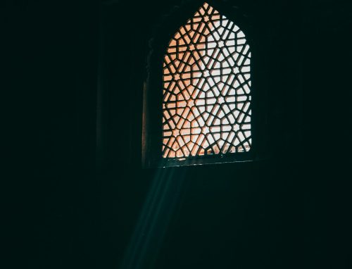 pexels-jodaarba-3254036